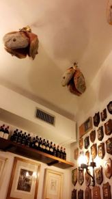 WhatsApp Image 2018-01-23 at 9.04.19 PM(1)